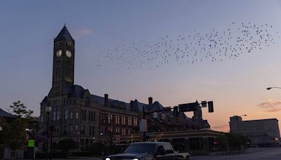 Bomb threat shuts down city hall in Springfield, Ohio, amid falsehoods about Haitians