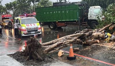 颱風凱米釀災高雄路樹壓死騎士 花蓮大樓女兒牆掉落砸車1死1重傷