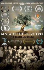 Beneath the Olive Tree