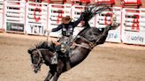 The cowboys in the chutes and a new golden age for Alberta saddle bronc