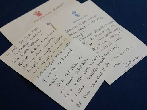 ‘An insight into Diana’s life’: Late princess’ handwritten letters go on sale