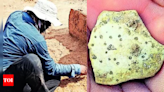 World's oldest egg gives 1st evidence of ostrich presence in south India | India News - Times of India