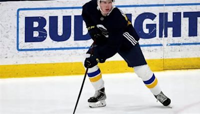 Blues sign 4 Swedish players, including 2023 first-round pick Otto Stenberg