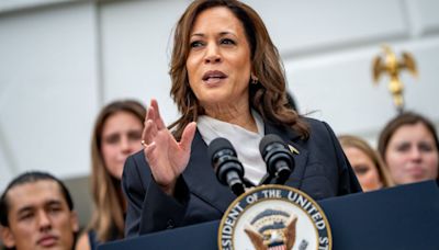 ¿Quién será la fórmula vicepresidencial de Kamala Harris? Analizamos las opciones de la demócrata