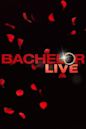 Bachelor Live