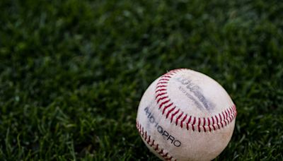 Watch: Teenager’s foul ball breaks mother’s cell phone, busts her lip