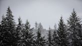 Oregon winter weather live updates: Tuesday Eugene-area school delays, closures