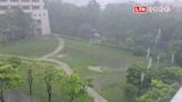 高雄大雷雨轟炸15區大雨等級 市府成立豪雨應變中心擴大三級開設 - 自由電子報影音頻道