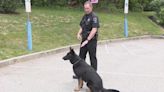 How stray dog from Louisiana transformed to sought after K-9 narcotics officer in Delaware County