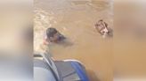 WATCH: Deputy Mayor On Jet Ski Rescues Drowning Horse From Floodwaters | iHeart