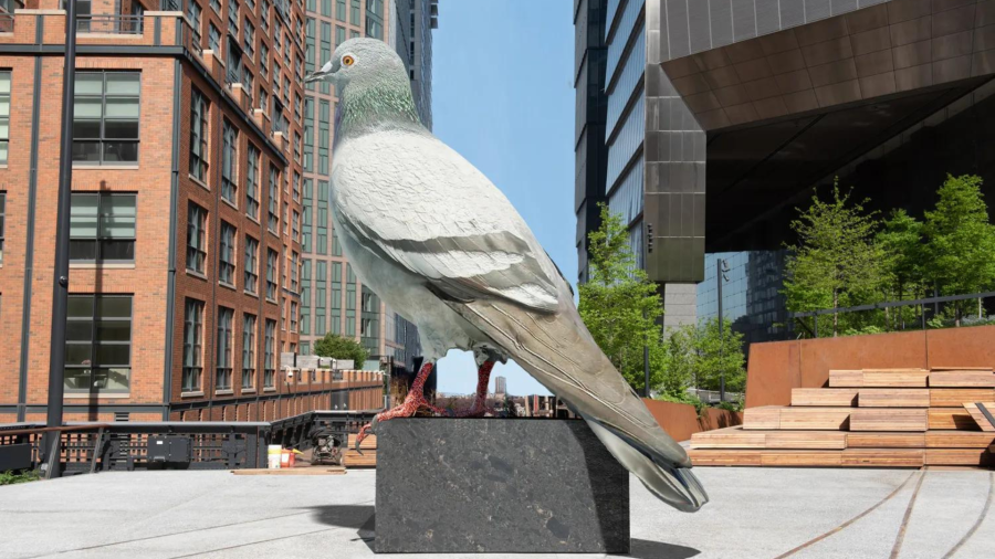Where to see the giant 21-foot pigeon set to take over the NYC skyline