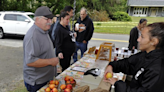 Acushnet's Apple Peach Festival returns this weekend. Here's everything you need to know.