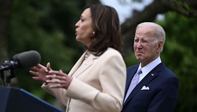 Après l'abandon de Biden, les démocrates reprennent espoir face à Trump