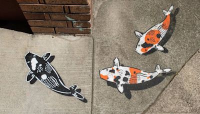 Ever Seen A Koi Fish on the Sidewalk? Artist Explains Hidden Meaning | KQED