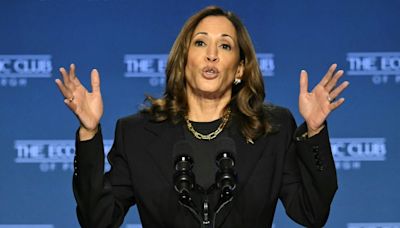 Harris attacks 'biggest loser' Trump on US economy