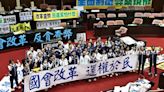 支持政院覆議多 專家：並非全挺綠 - 台灣醒報 Awakening News Networks