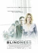 Blindness (2008 film)