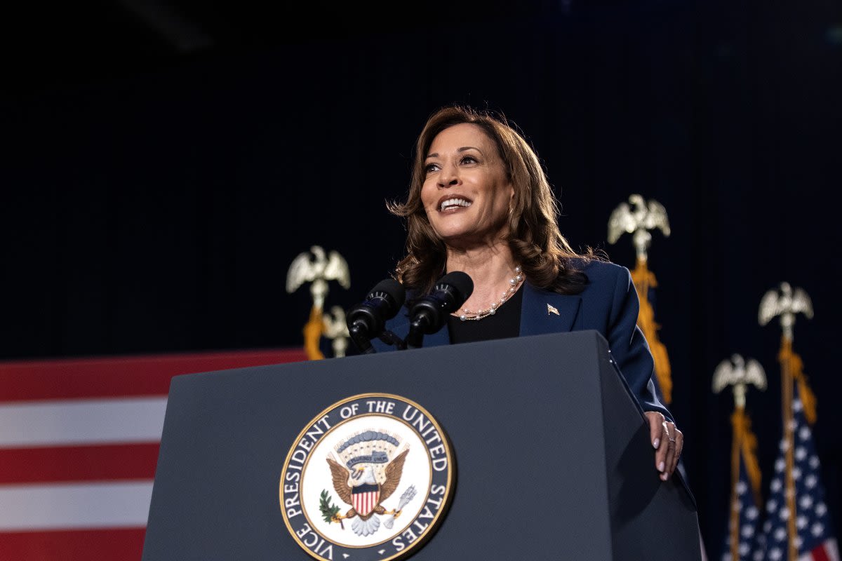 Kamala Harris "spoke with" running mate contender right after Biden quit