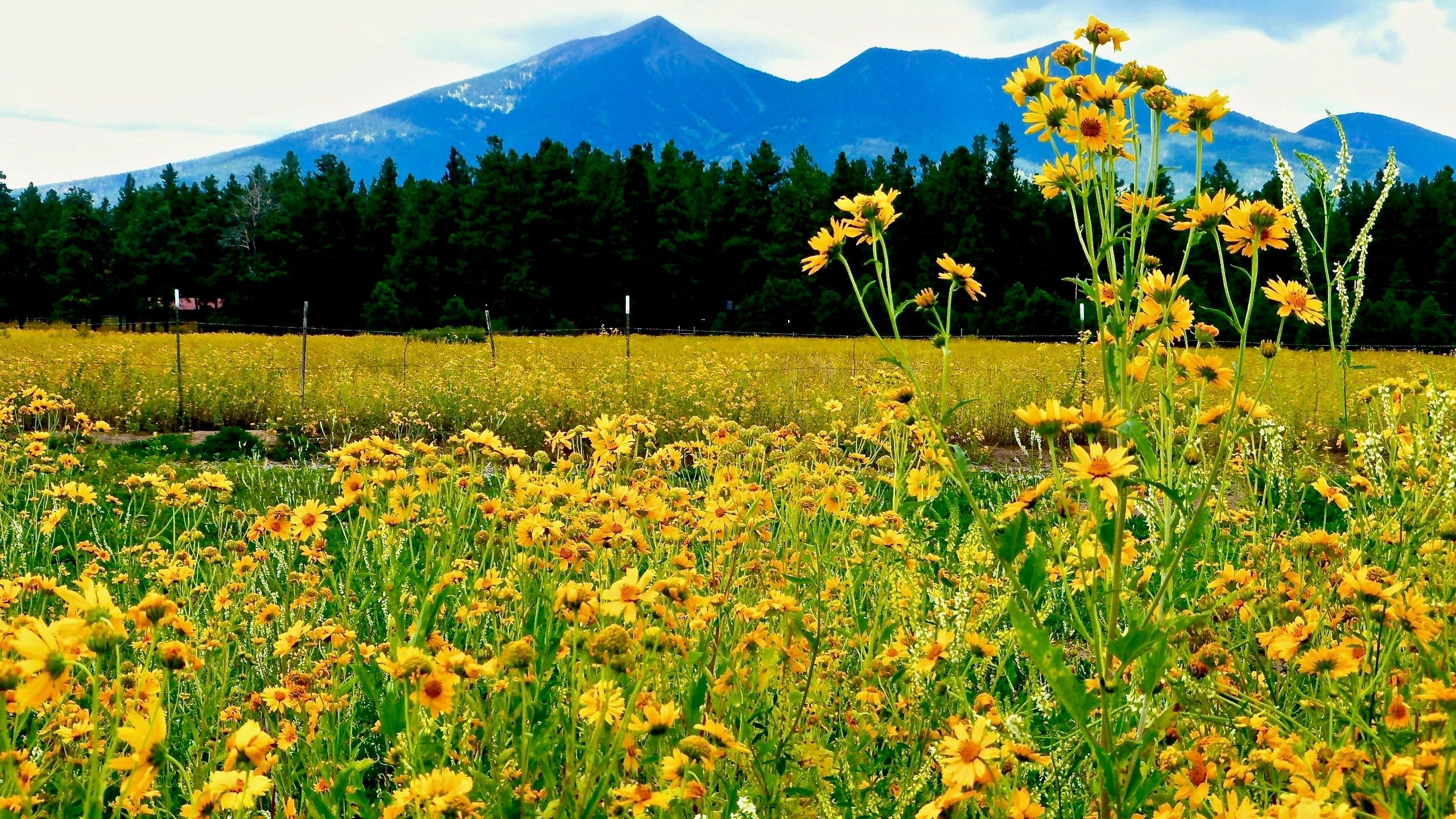 Best Arizona road trips: 2 outdoor havens face off in championship round