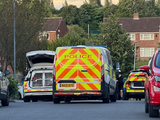 Five arrested after 'street brawl' sees police descend on residential road