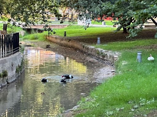 Los regantes y el Ayuntamiento de Canals se enfrentan por el caudal del río Sants