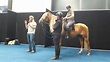 Symposium Horseboy en Movement methode