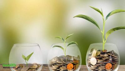 Best mid cap mutual funds to invest in July 2024