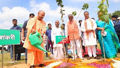 Uttar Pradesh: Yogi Govt Scripts History With More Than 36.51 Crore Saplings Planted In Single Day