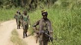 Un grupo vinculado a Estado Islámico mata a diez civiles en Kivu Norte (RDC)