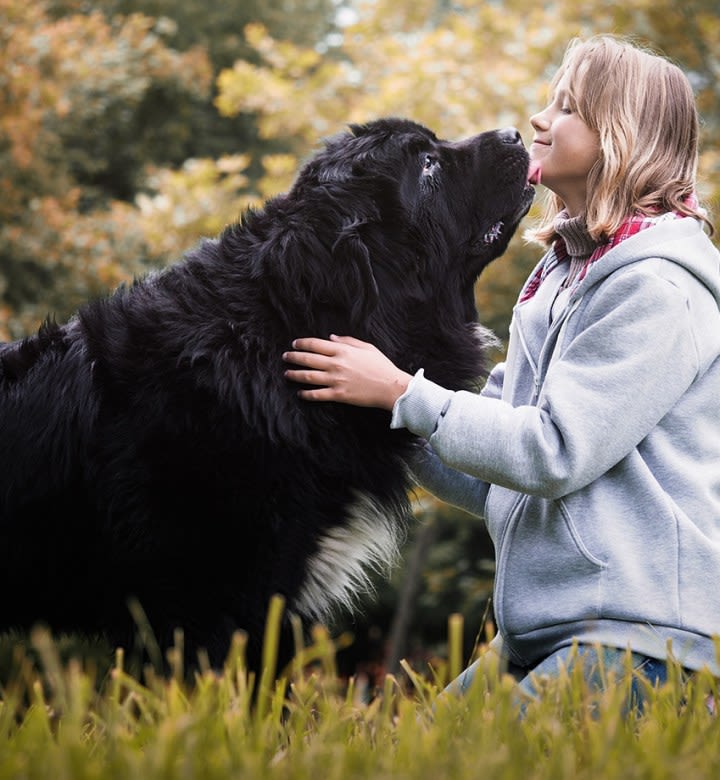 21 Big Dog Breeds That Are Basically Giant Teddy Bears