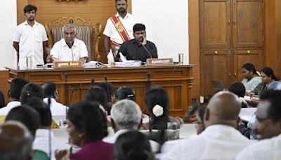 Coimbatore Corporation council passes 333 resolutions; sterilisation of stray dogs, Vellalore fire top discussions