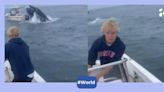 Watch: Angry Humpback whale capsizes boat off New Hampshire coast with sailors on board