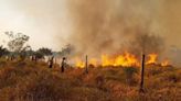 Incendios forestales invaden Bolivia: ‘Estamos quedando en las tinieblas por el humo’
