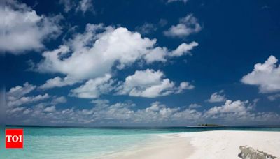 The secret behind the Maldives' stunning white sand: An unexpected sea creature - Times of India