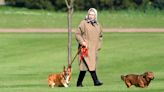 Wonder What Will Happen to Queen Elizabeth’s Beloved Dogs? Same. Here Are the Deets for Ya