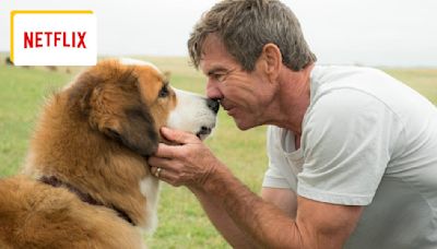 Mes vies de chien quitte bientôt Netflix : pourquoi ce film avait injustement fait polémique avant sa sortie ?