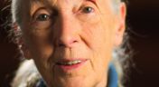 7. Jane Goodall
