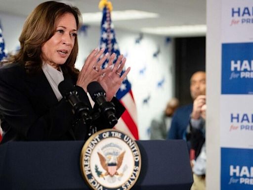 Kamala Harris secures enough delegates to become Democratic presidential nominee