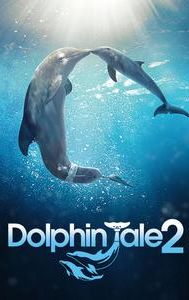 Dolphin Tale 2