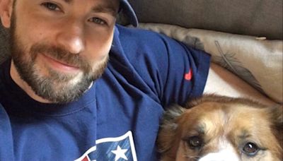 Chris Evans' life is 'better' because of his dog