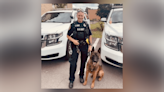 City of Cortland Police Department K-9 finds missing child