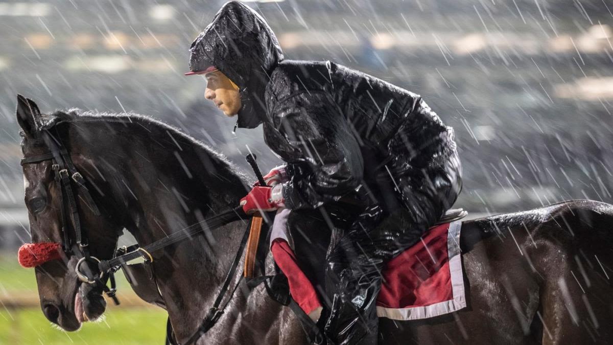 Belmont Stakes 2024: Cheat Sheet for racing form, past performances, post positions, odds, jockeys, post time