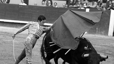 Muere a los 83 años Paco Camino, el torero sabio