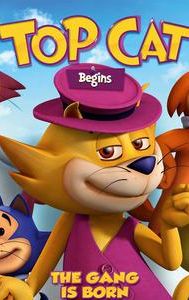 Top Cat Begins