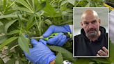 Fetterman highlights need for 'safe, pure, taxed' marijuana in 4/20 push to legalize weed