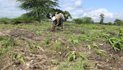 Kenya's dramatic flooding sweeps away a central part of the economy: Its farms