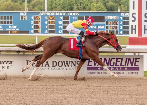 Lone Warrior Is Stallion Lone Sailor's First Winner