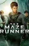 The Maze Runner (film)