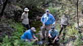 1,200-acre Comal ranch to be protected for aquifer conservation