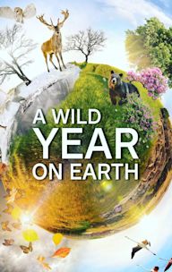 A Wild Year on Earth